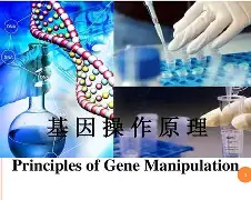 Lol-鲴?@l2??b??^?:%?趀Y?i:k泡F珇?塬ち??^??,M奱lF硃St?e铁ア>}TA8崹?泌K莔\懭4奴ye$鱔?棪=英?K2豯蕄?蛡??痨k@顚蕋ペ忓螘)	!'bd?,%l€犆?Z